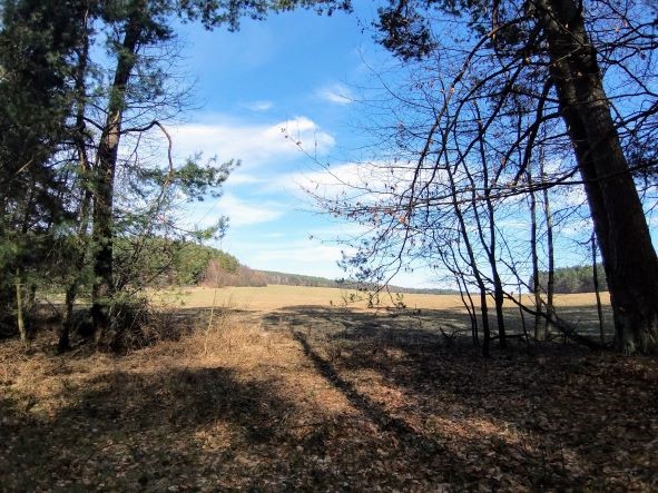 2022.05.15 Roztoczem na "krechę"(archiwum)